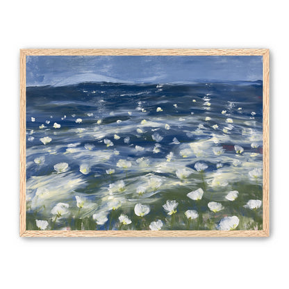 White flowers under blue sky