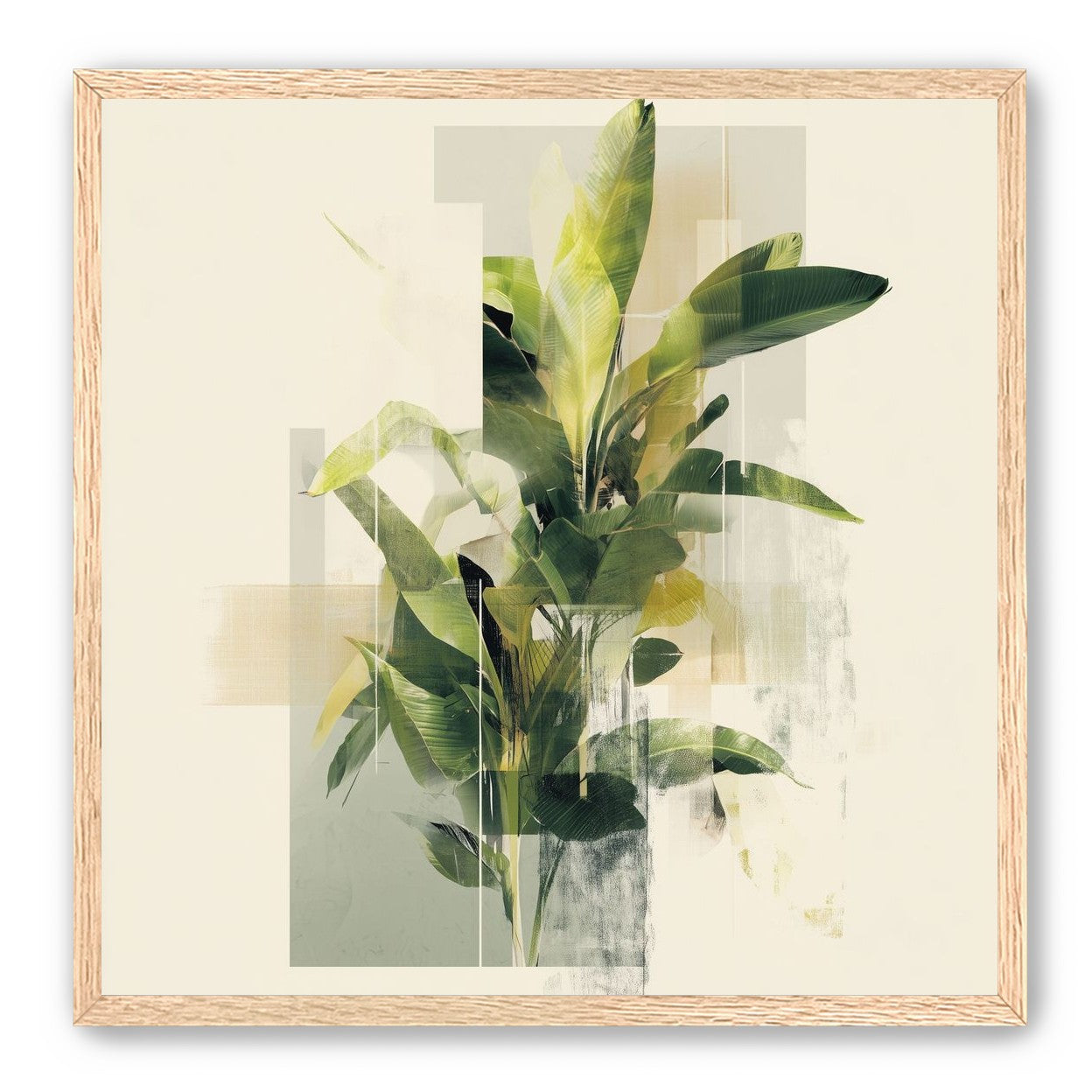 Plant in layered light