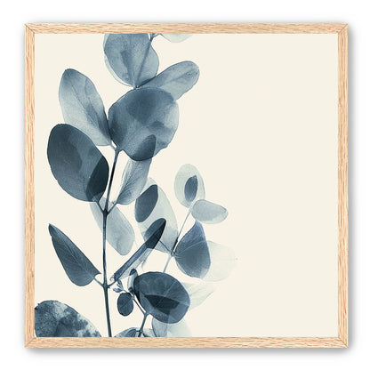 Eucalyptus in quiet blue