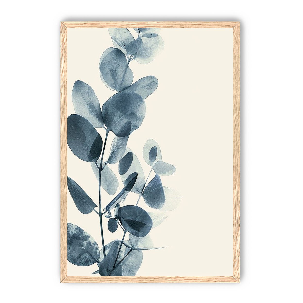 Eucalyptus in quiet blue