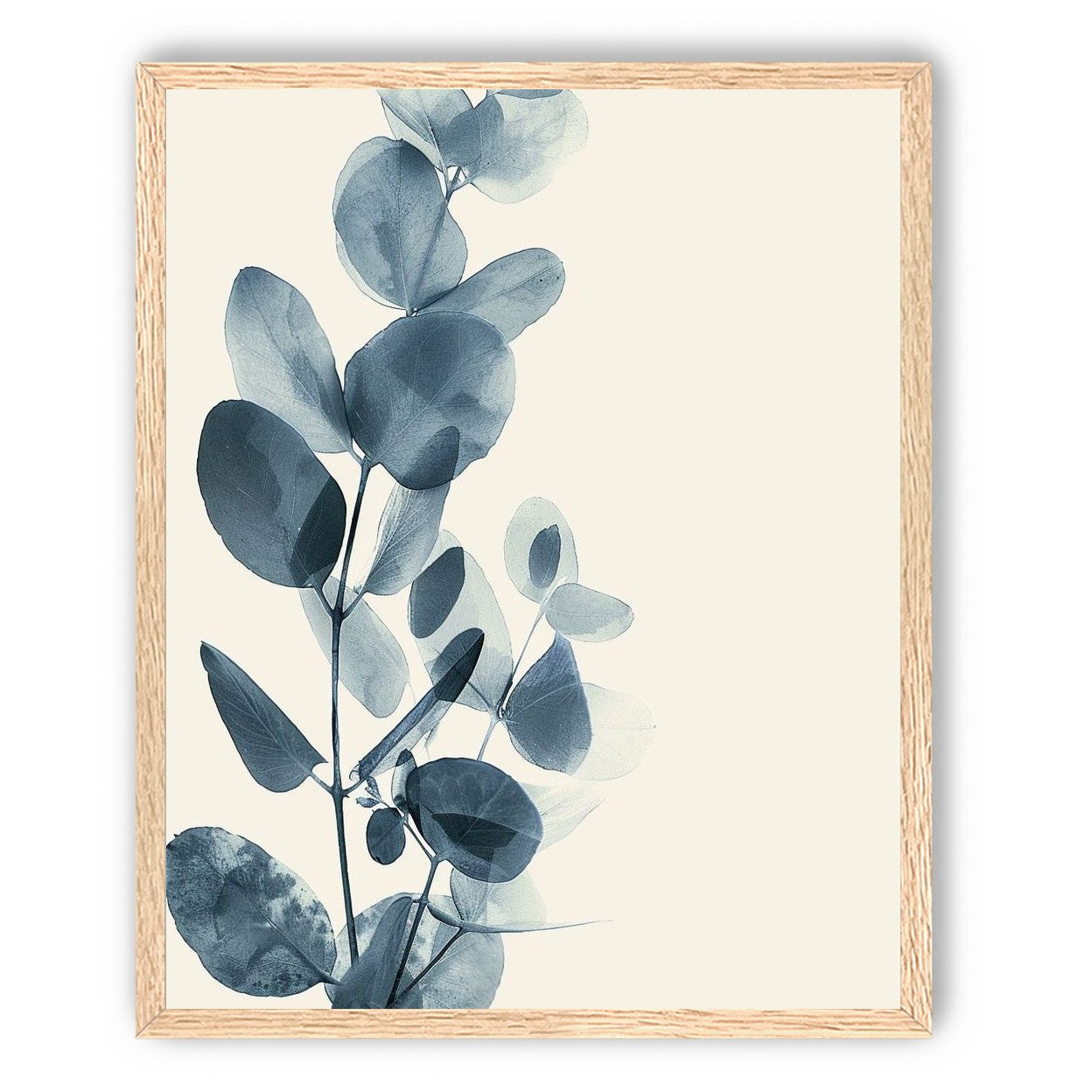 Eucalyptus in quiet blue