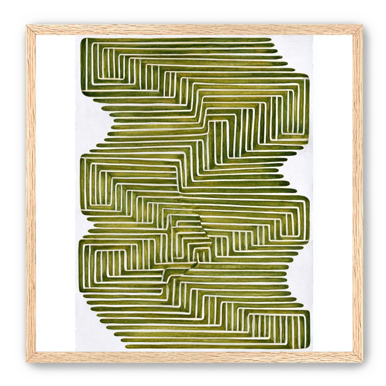 Olive bands in white quiet