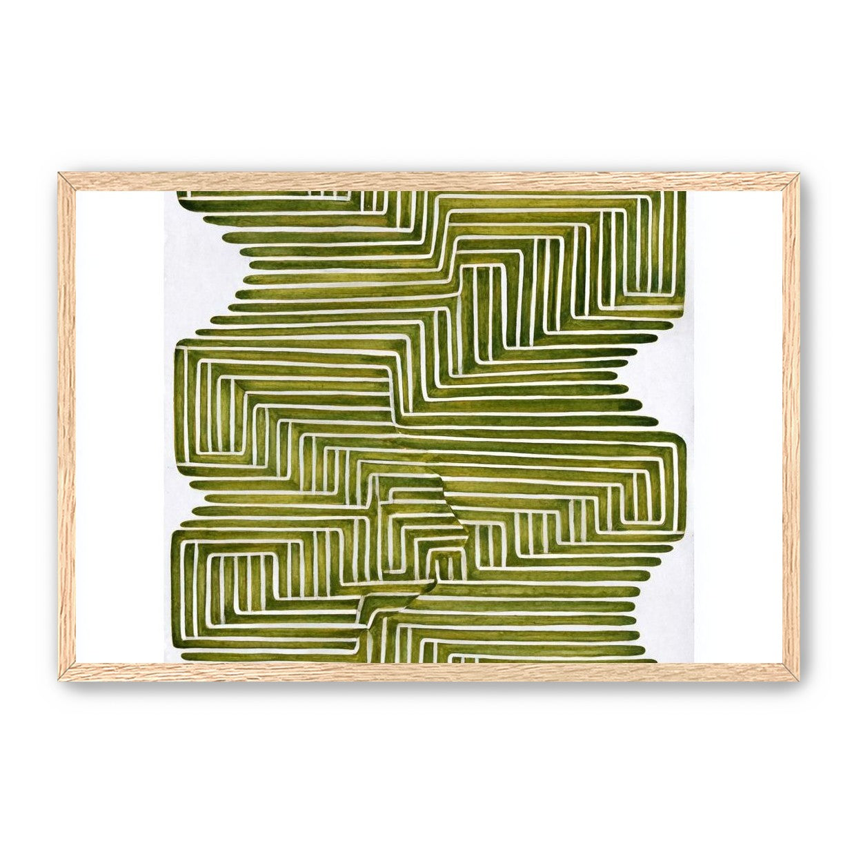 Olive bands in white quiet
