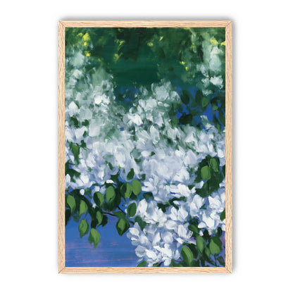 White blossoms over blue shade