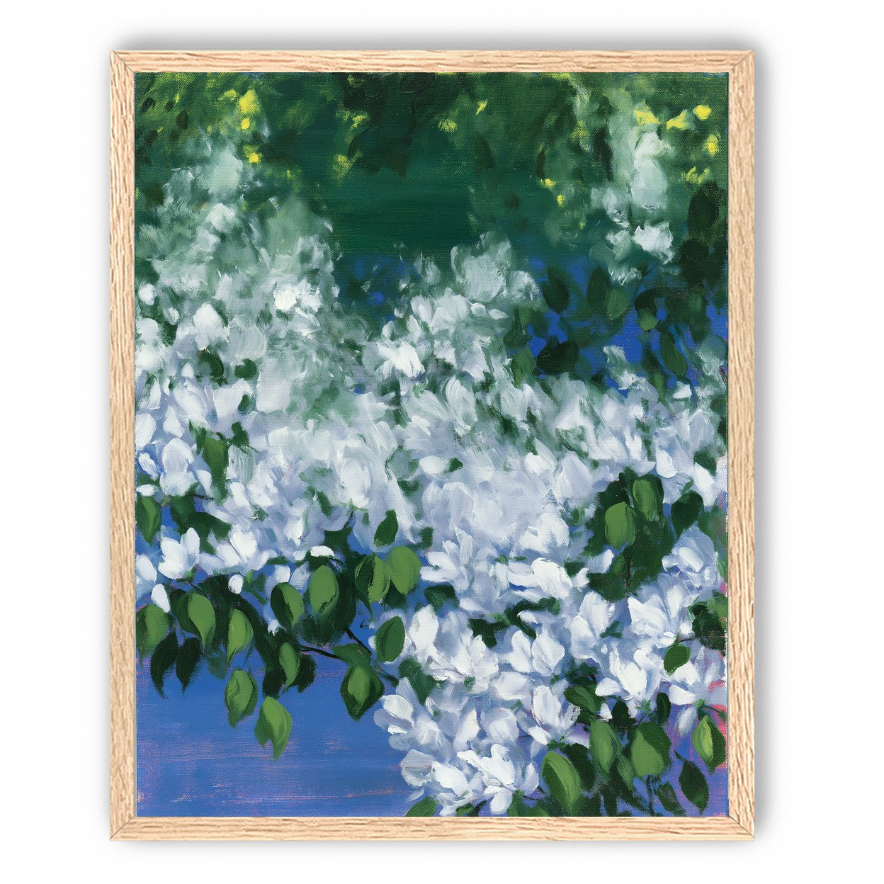 White blossoms over blue shade