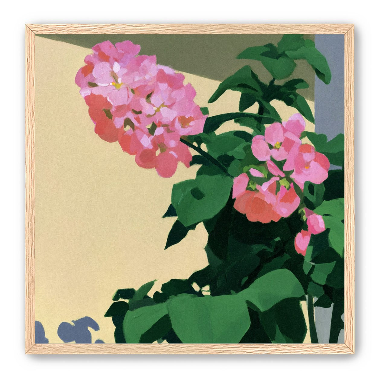 Pink blooms in hard light