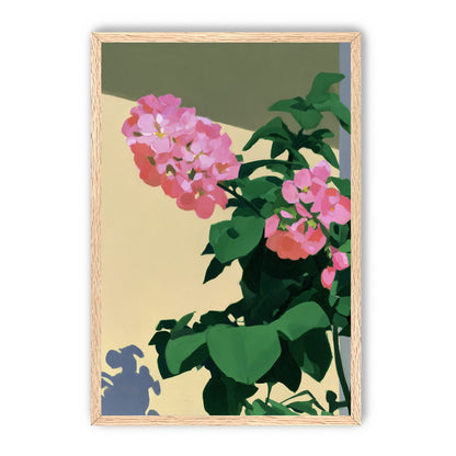 Pink blooms in hard light