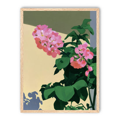 Pink blooms in hard light