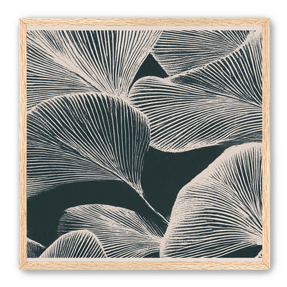 Pale veins on dark leaves