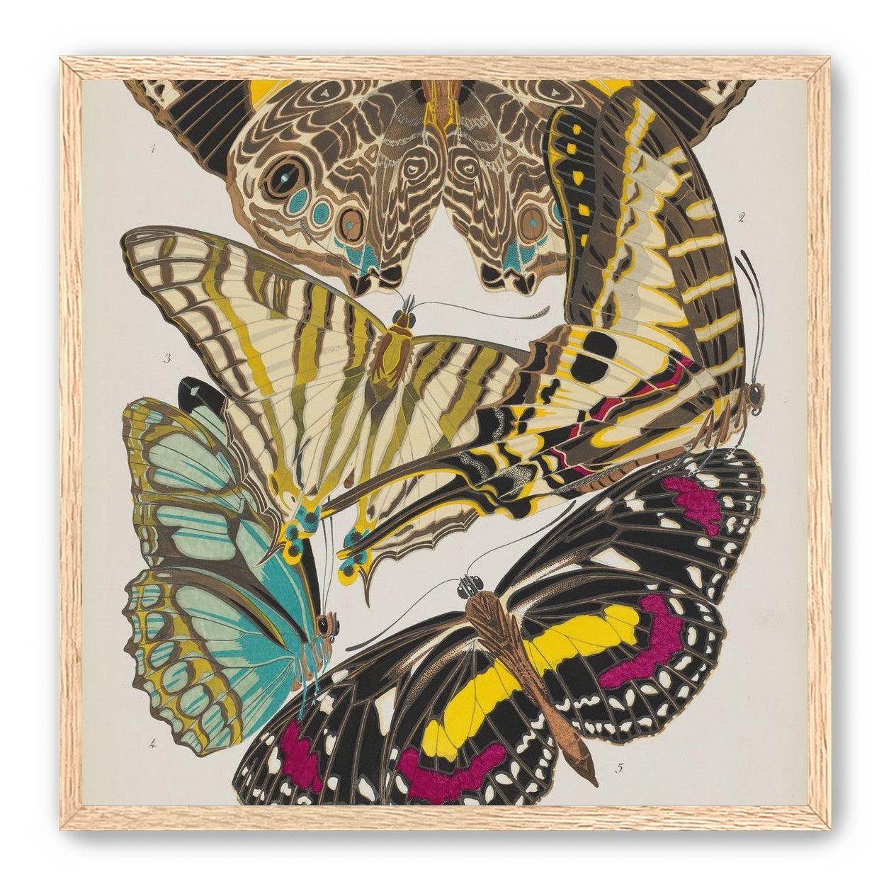 Butterflies among blank paper