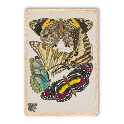 Butterflies among blank paper