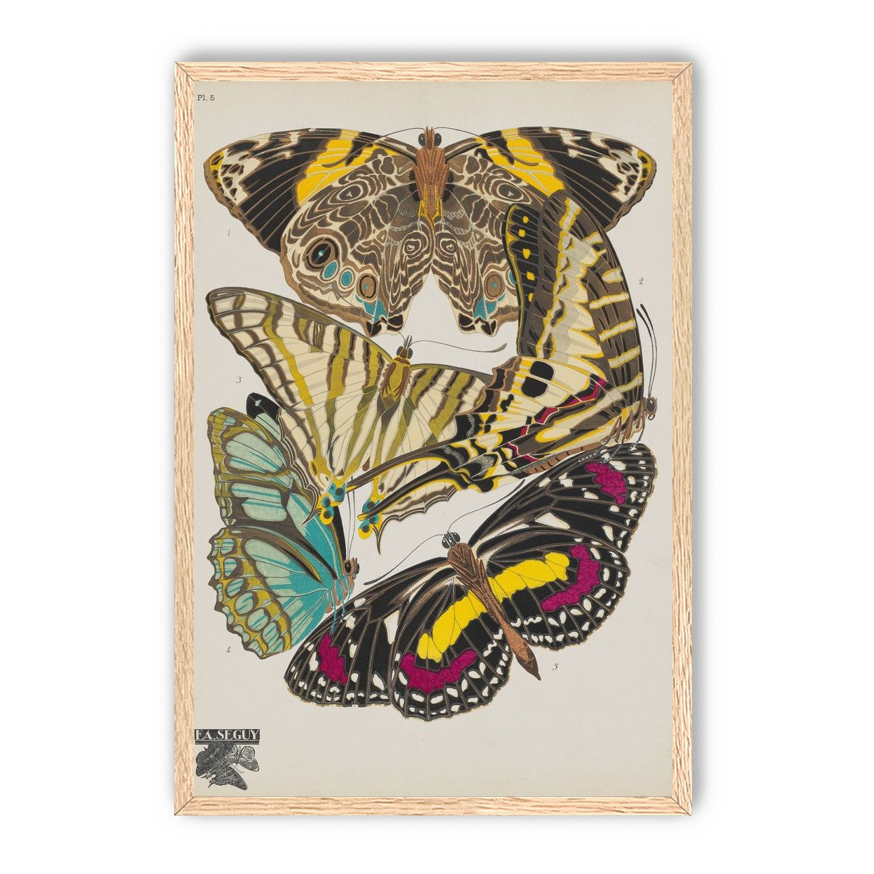 Butterflies among blank paper