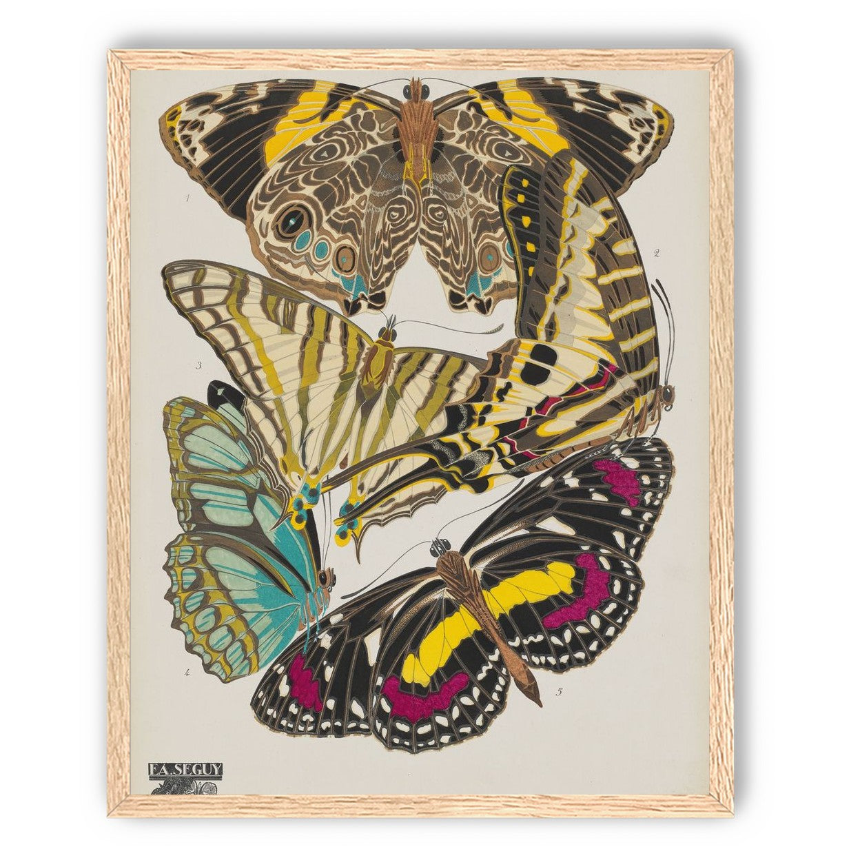 Butterflies among blank paper