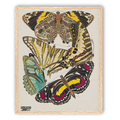 Butterflies among blank paper