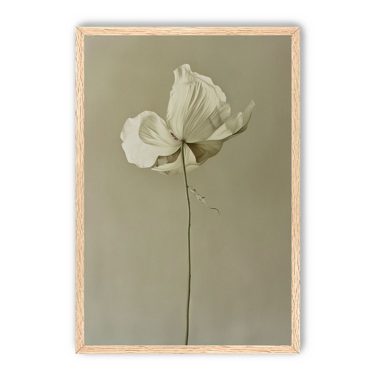 Ivory bloom in gray air