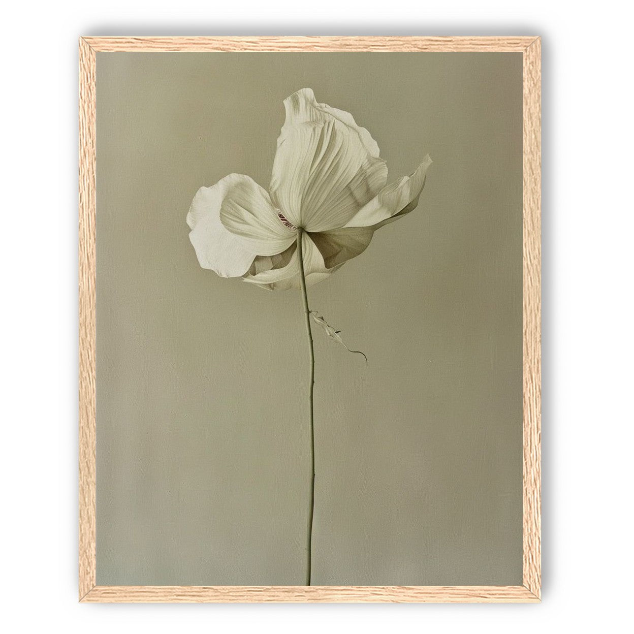 Ivory bloom in gray air