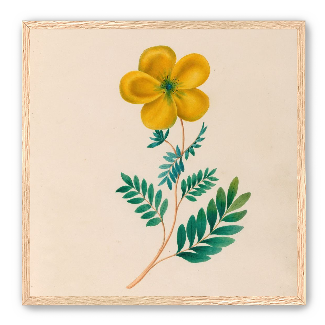 Yellow flower on pale paper