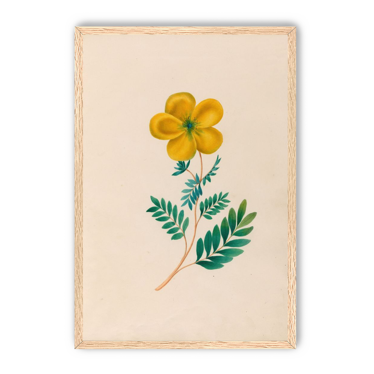 Yellow flower on pale paper