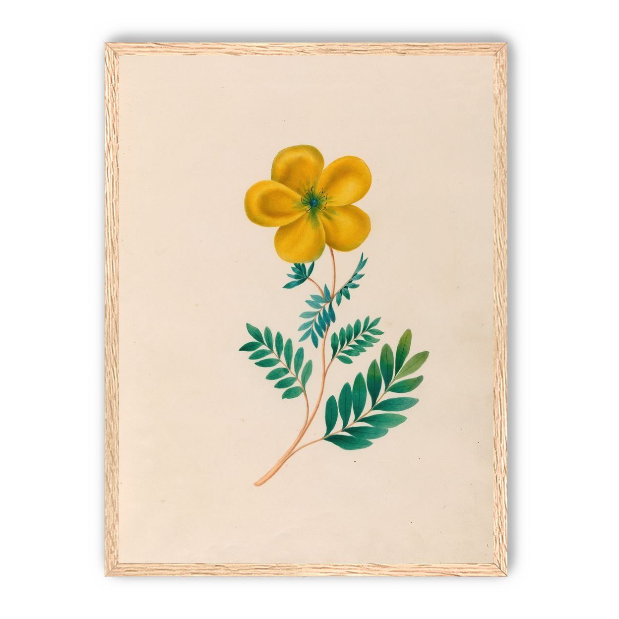 Yellow flower on pale paper