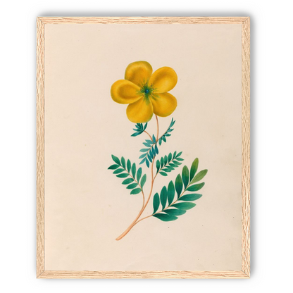 Yellow flower on pale paper