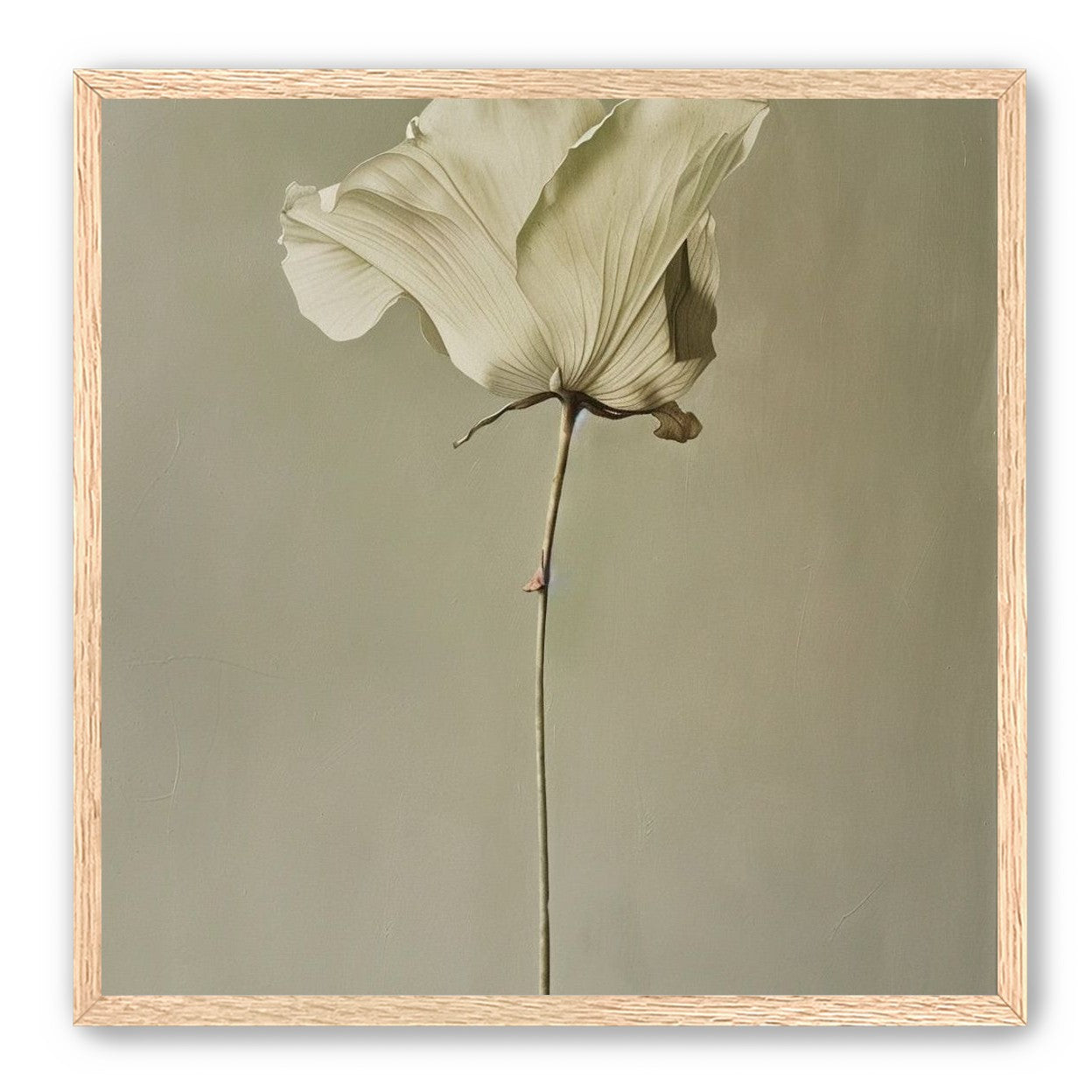 One flower and its hush