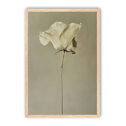 One flower and its hush