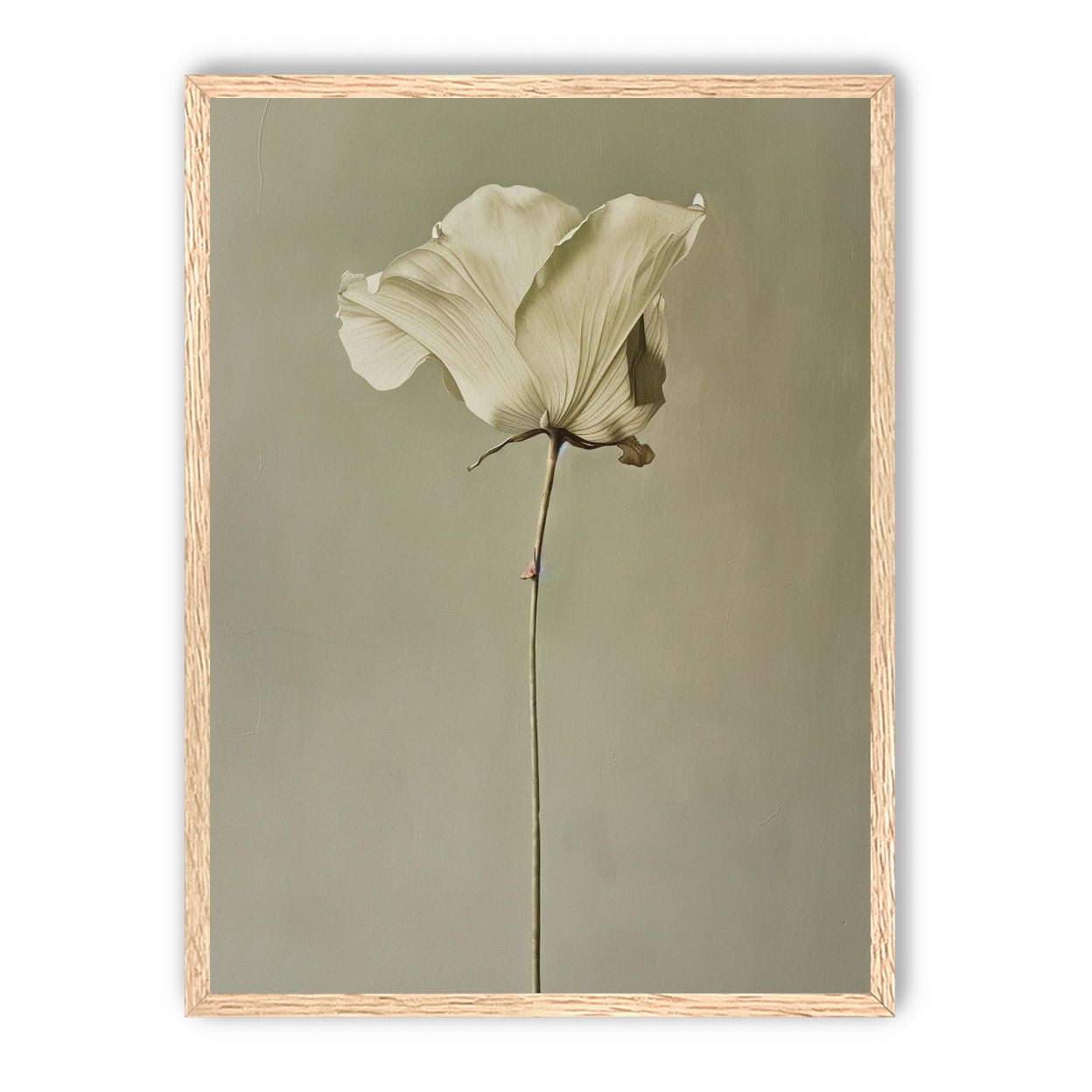 One flower and its hush