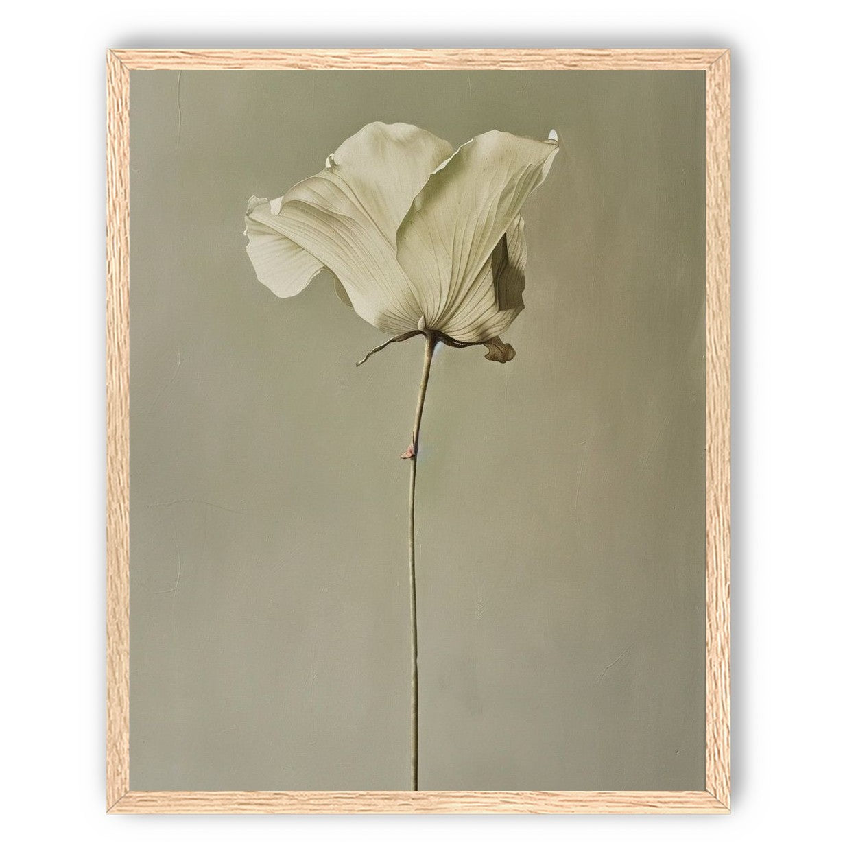 One flower and its hush