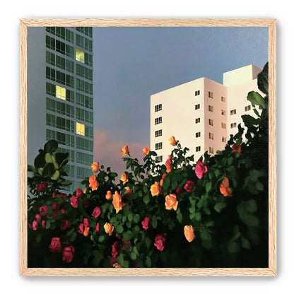 Roses below lit windows