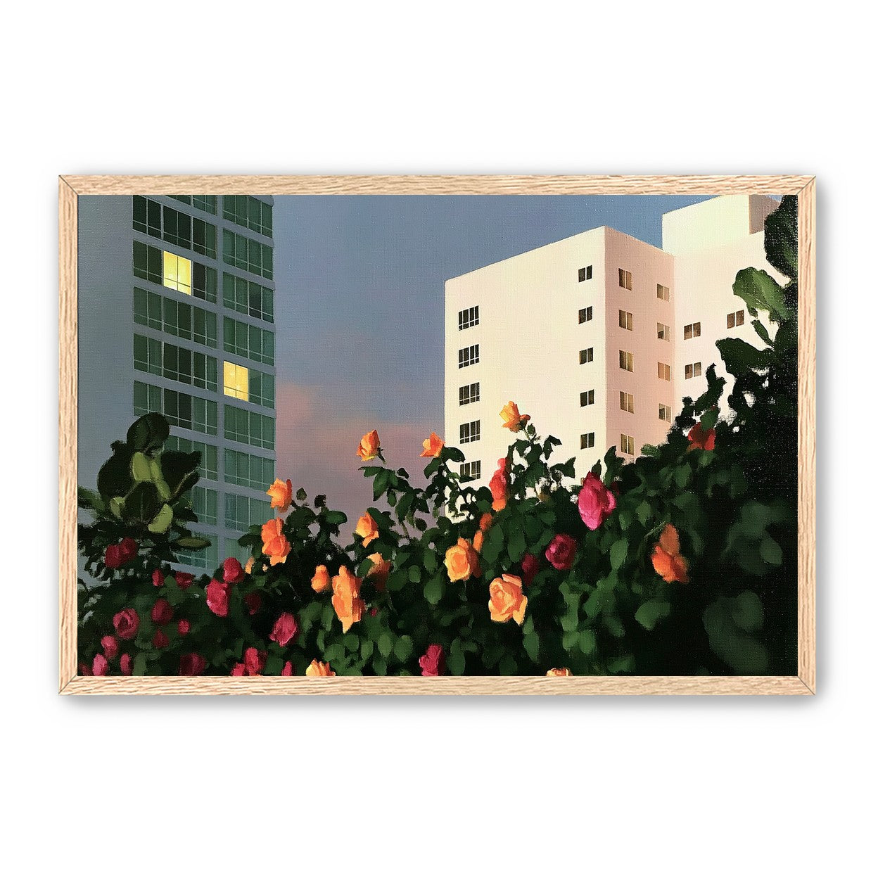 Roses below lit windows