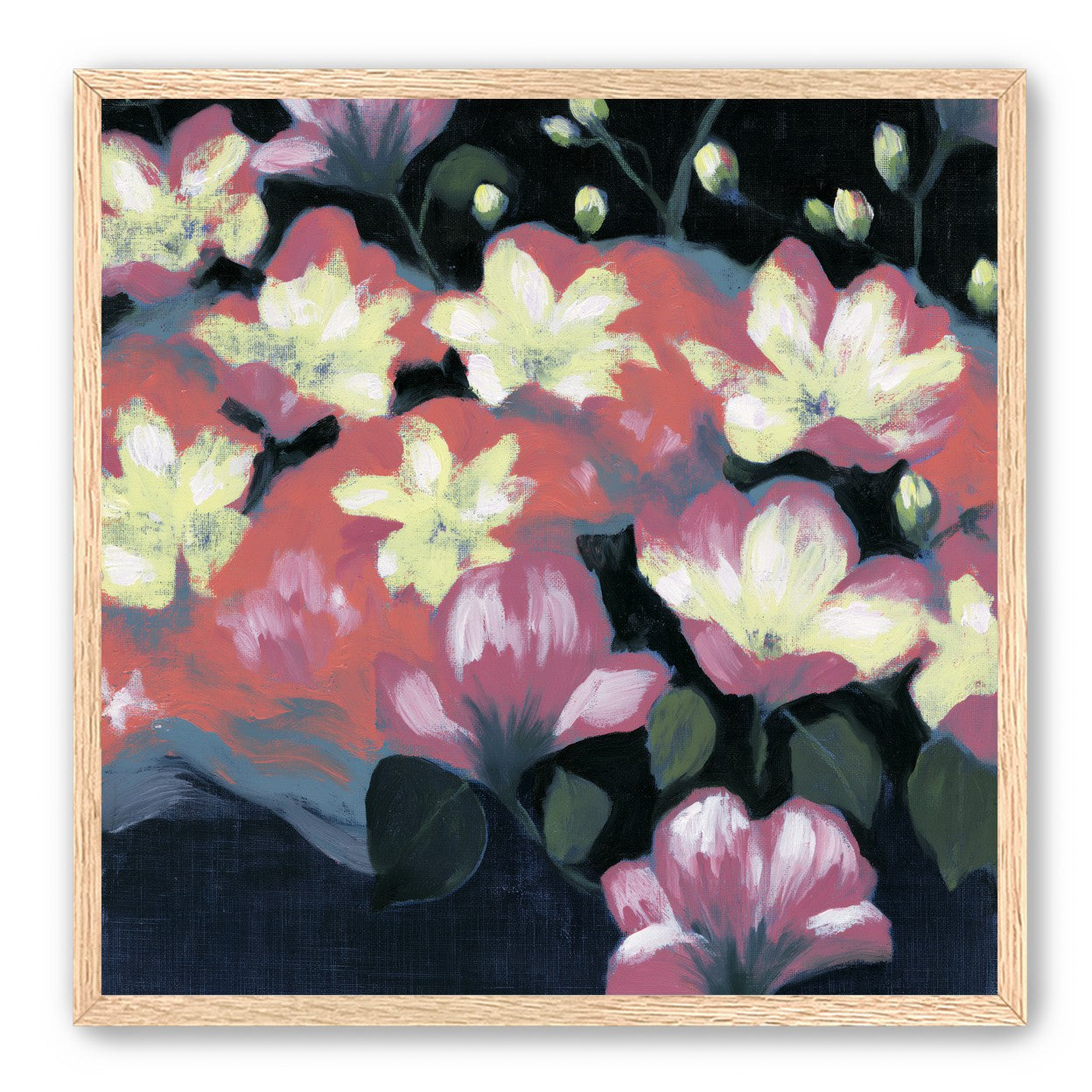 Flowers waking in the dark
