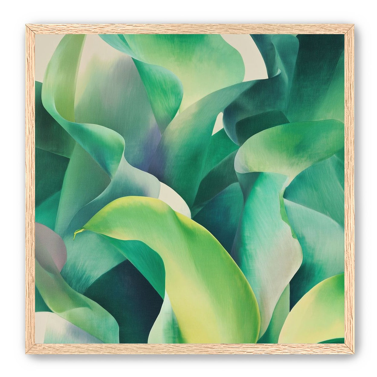 Calla lilies crowd the light
