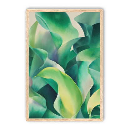 Calla lilies crowd the light
