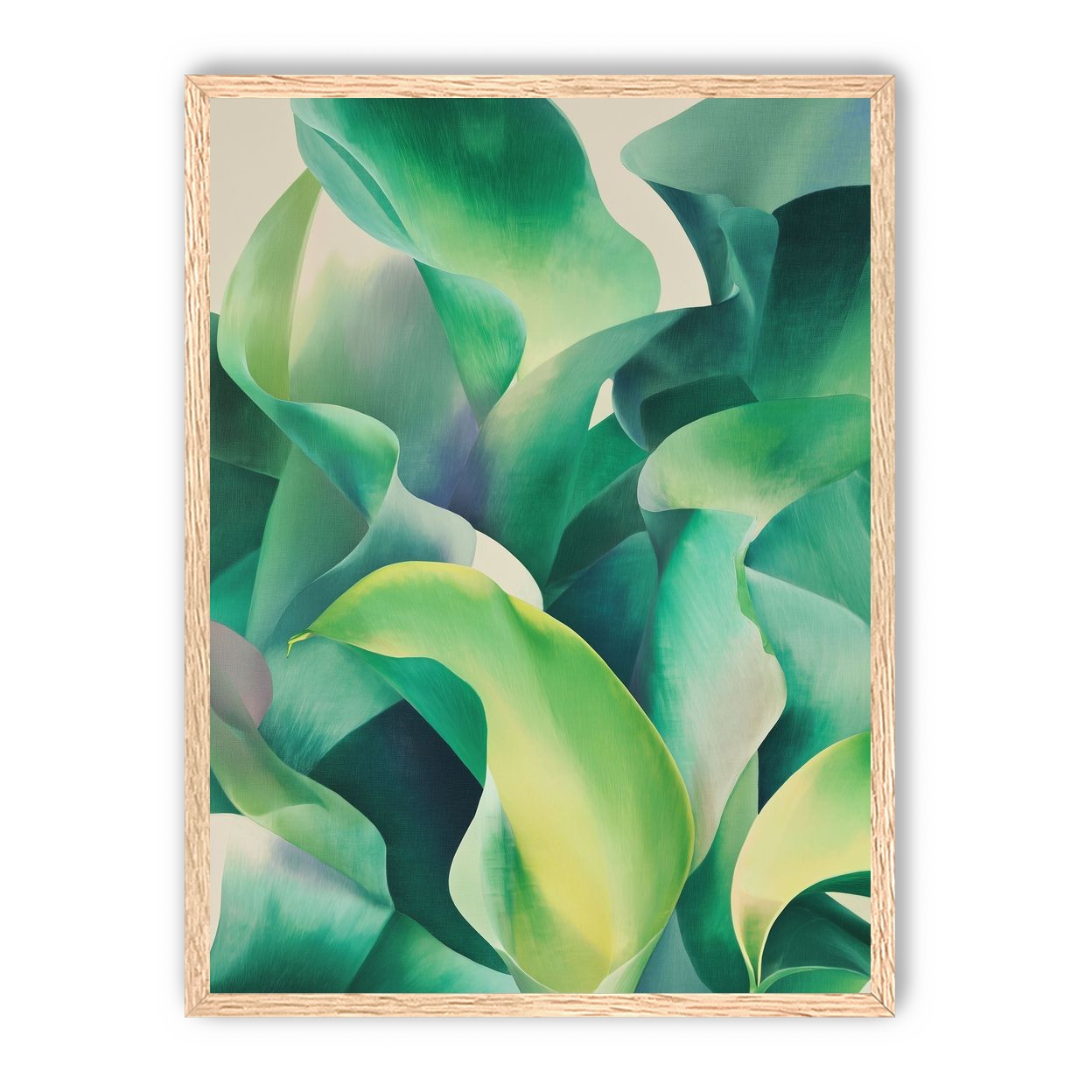 Calla lilies crowd the light