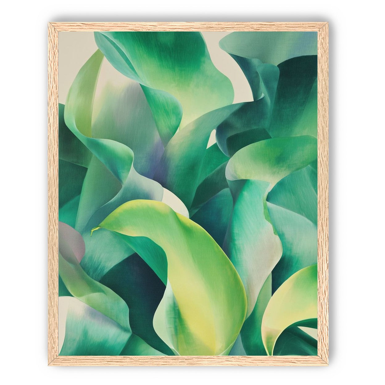 Calla lilies crowd the light
