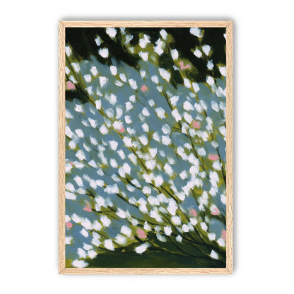 Pink breaks the white field