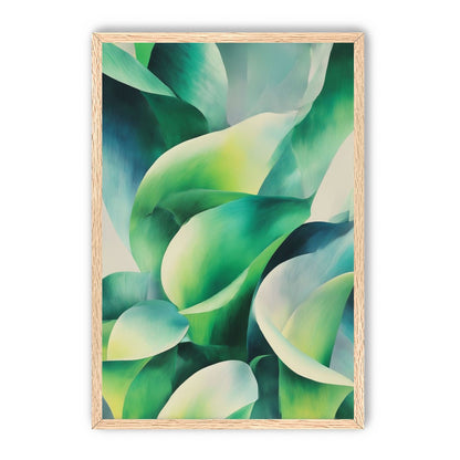 Calla lilies among green shadows