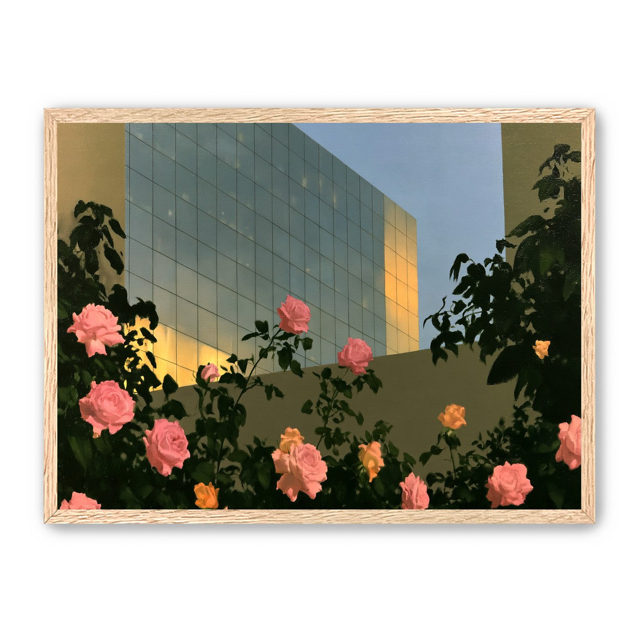 Roses against the glass wall