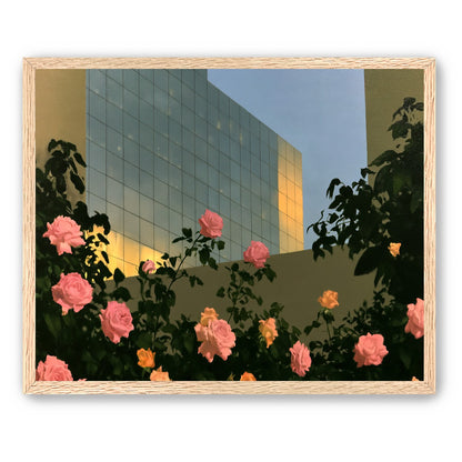Roses against the glass wall