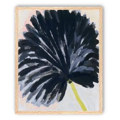 Black petals in pale light