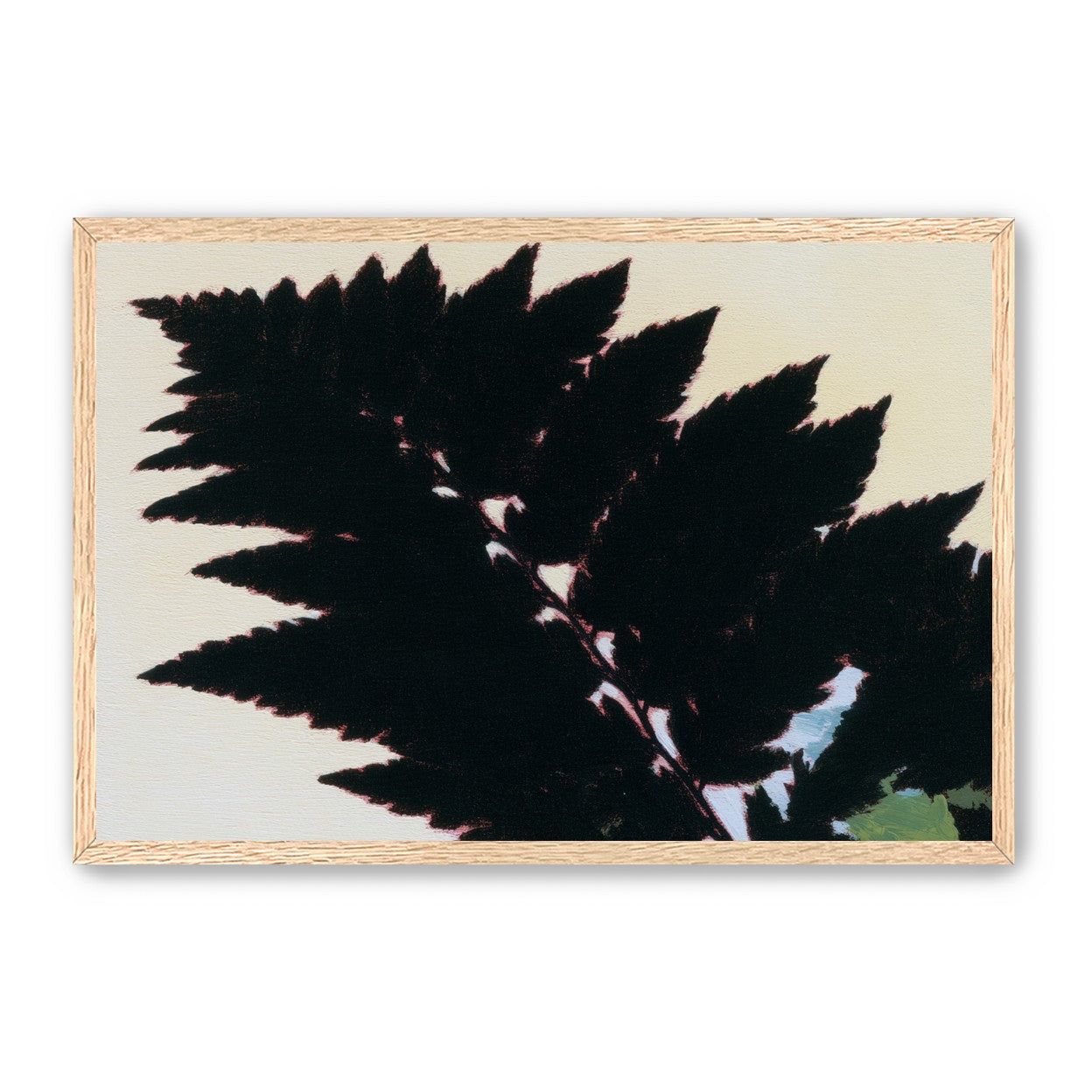 Black leaves on pale ground