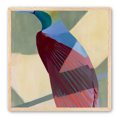 Teal throat on maroon wing