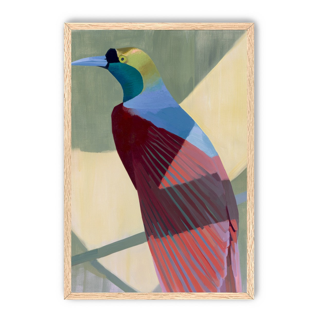 Teal throat on maroon wing