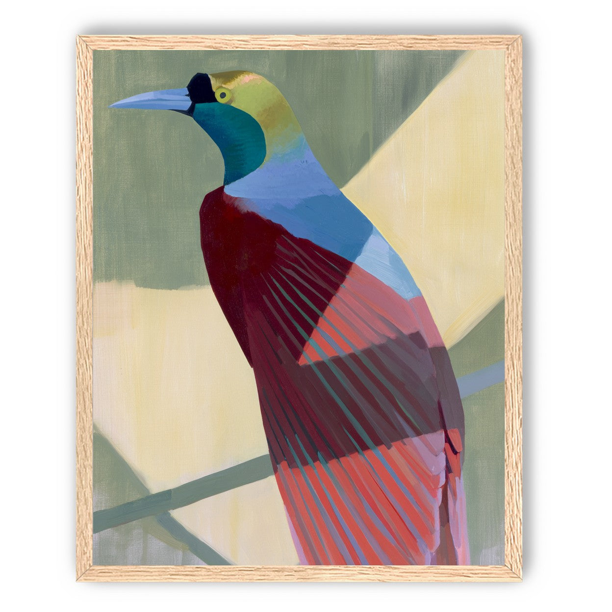 Teal throat on maroon wing