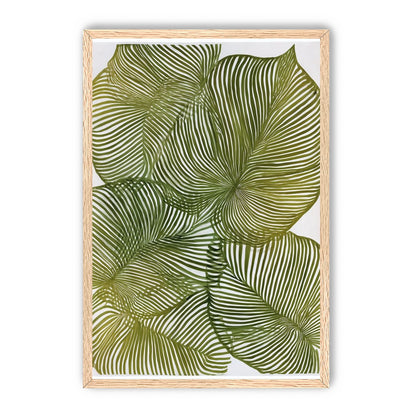 Palm leaves pressed together