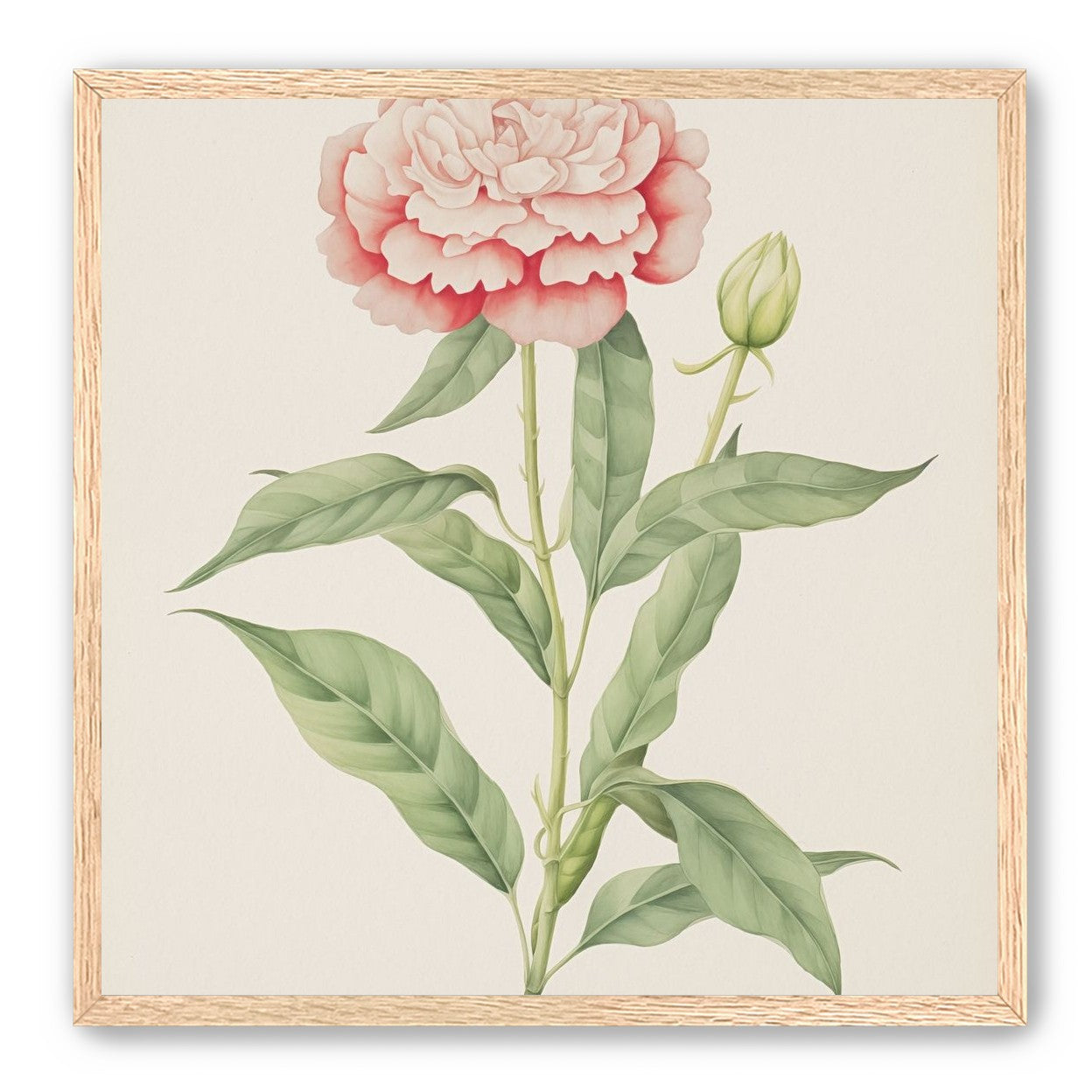 Delicate Blush