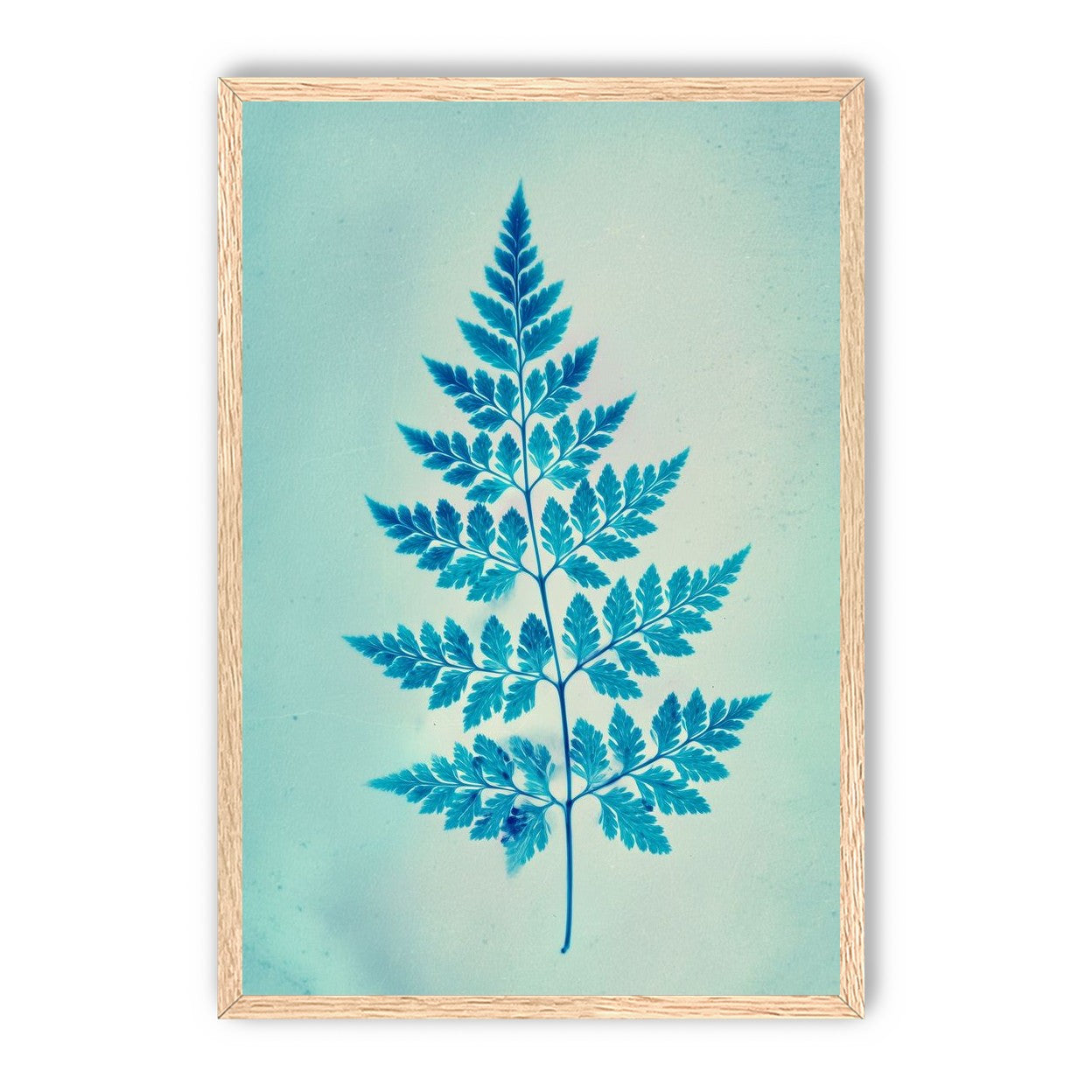 stems and leaves