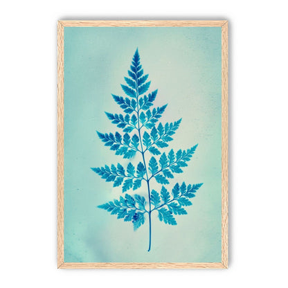 stems and leaves