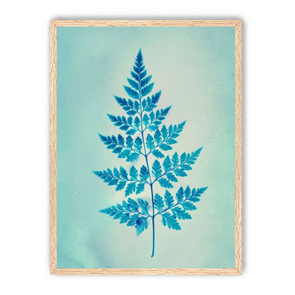 stems and leaves