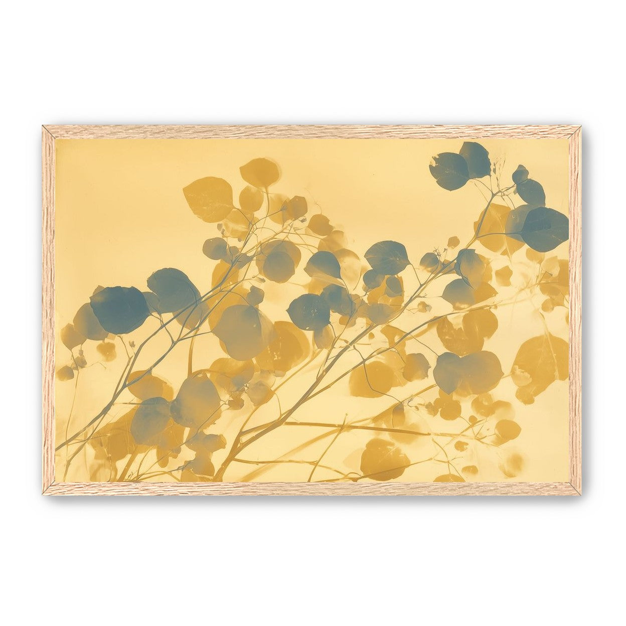 Branches Crossing the Field of Light
